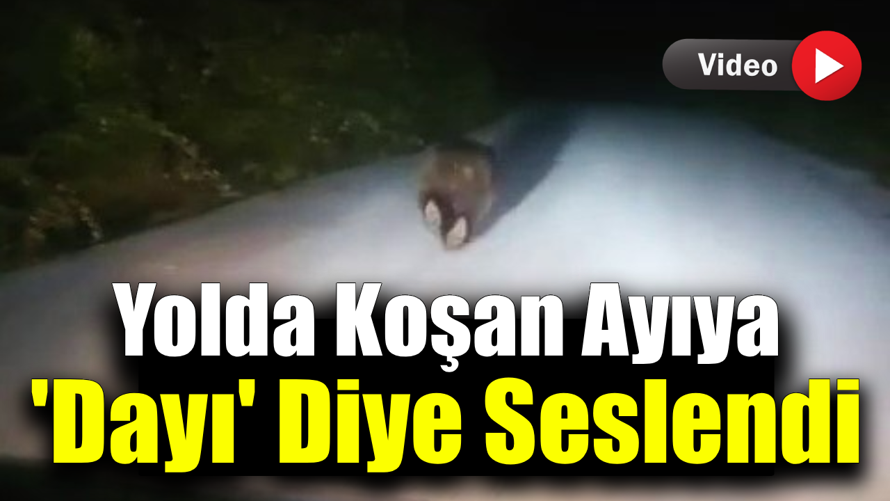 Karabük'te yolda koşan ayı kamerada