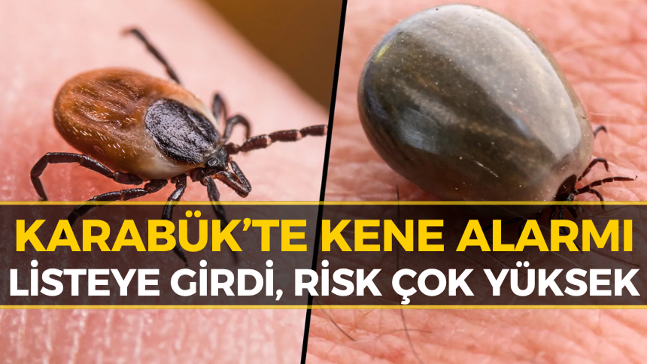 Karabük'te Ölümcül Tehlike: 10 Riskli İl Arasında