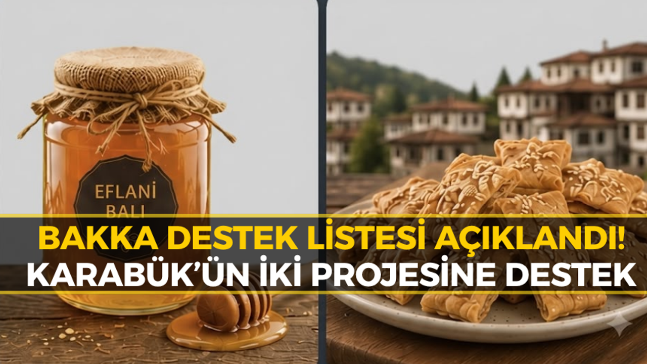 Karabük’ten İki Proje Destek Listesine Girdi