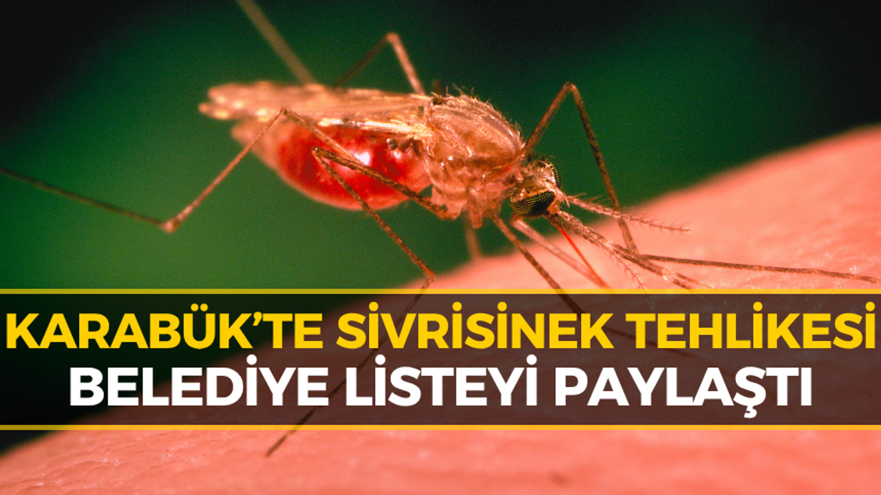Karabük’te Sivrisinek Alarmı: Belediyeden 18 Nokta İçin Kritik Uyarı