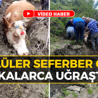 KARABÜK
