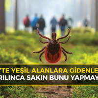 KARABÜK