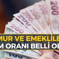 EKONOMİ