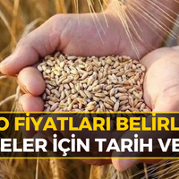EKONOMİ