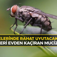 KARABÜK