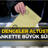 Politika