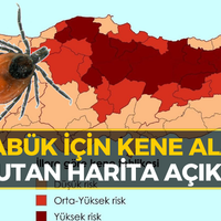 KARABÜK