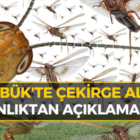 KARABÜK
