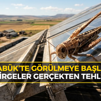 Gündem