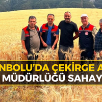 KARABÜK