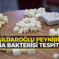 SAĞLIK
