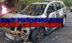 Seyir Halindeki Araç Cayır Cayır Yandı