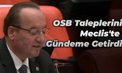 Milletvekili Akay OSB Taleplerini Meclis'te Dile Getirdi