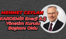 Mehmet Ceylan Kardemir Enerji A.Ş.'de Başkan Oldu