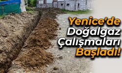 Yenice'de Doğalgaz Çalışmaları Başladı