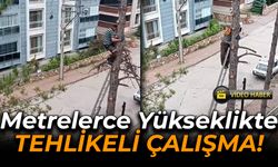 Metrelerce Yükseklikteki Ağaçta Korkunç Görüntüler!