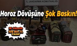 Horoz Dövüşüne Baskın: 16 Kişi Yakalandı!