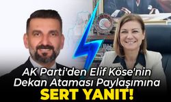 AK Parti'den Başkan Elif Köse'nin Paylaşımına Yanıt