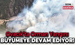 Ovacık'taki Orman Yangınına Müdahale Sürüyor