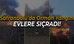 Safranbolu’da Orman Yangını: 3 Ev Alevlere Teslim Oldu