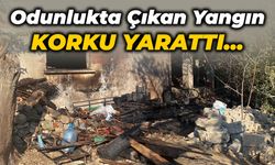 Odunlukta Çıkan Yangın Panik Yarattı!