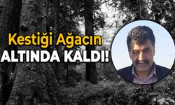 Kestiği Ağacın Altında Kalarak Hayatını Kaybetti