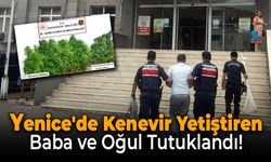 Yenice'de Kenevir Yetiştiren Baba ve Oğul Tutuklandı