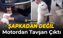 Sanayide "Tavşan" Kurtarma Operasyonu