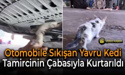 Mahsur Kalan Yavru Kedi Tamirci Operasyonuyla Kurtarıldı!