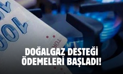 Doğalgaz faturasından yakınanlar hemen başvurun! Ayda 3 bin 500 TL doğalgaz desteği verilecek