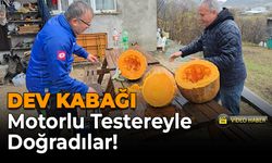 Karabük’te Dev Kabak Şaşkınlığı! Motorlu Testereyle Kesilebildi