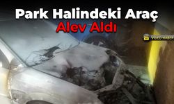 Yenice’de Park Halindeki Otomobilde Yangın Paniği