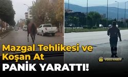 Mazgalı Vatandaş Düzeltti, Başıboş At Trafiği Karıştırdı!