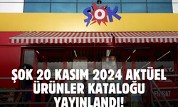 ŞOK 20 Kasım 2024 aktüel ürünler kataloğu