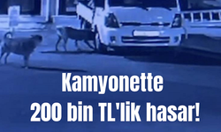 Köpeklerin Saldırdığı Kamyonette  200 TL Hasar