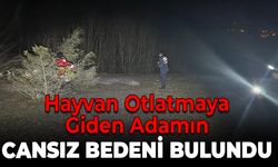 Eflani'de Kayıp Adam Ormanda Ölü Bulundu