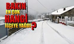 Zonguldak'ta En Çok O İlçeye Kar Yağdı