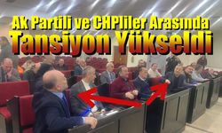 Meclis Karıştı, Ak Partili ve CHPliler Arasında Tansiyon Yükseldi