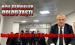 Gripal Enfeksiyonlar Arttı Hastanelerde Son Durum Ne?