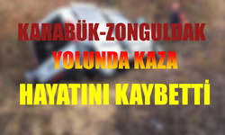 Karabük'ten Zonguldak'a Giderken Şarampole Uçtu