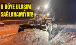 Kastamonu'da Kar Yolları Kapattı!