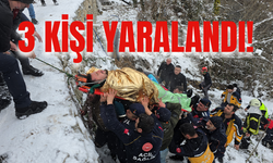 30 Metre Yüksekten Tokatlı Kanyonu'na Uçtu!