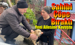 Çöpe Bırakılan Yavru Köpek Yeni Yuvasına Kavuştu