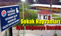 Karabük Belediyesi, Sokak Hayvanları İçin Harekete Geçti