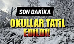 Zonguldak'ta Eğitime Bir Gün Ara Verildi