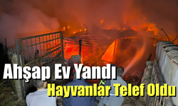 Ahşap ev yandı, iki büyükbaş telef oldu