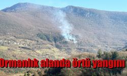 Ormanlık Alanda Örtü Yangını Çıktı