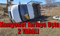 Yoldan çıkan kamyonet tarlaya uçtu: 2 yaralı