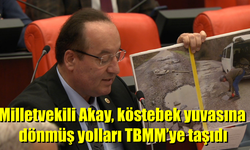 Milletvekili Akay, Bozuk Yolları TBMM’ye Taşıdı