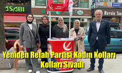 Yeniden Refah Partisi Kadın Kolları, Kolları Sıvadı